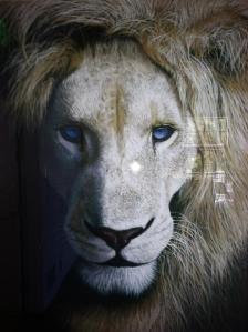 My Shape Shifting Lion Friend - on for the Soul Journey